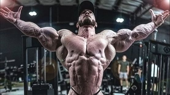 Acquistare Steroid courses online in Italia: Guida Completa Acquistare Steroid courses online in Italia: Guida Completa